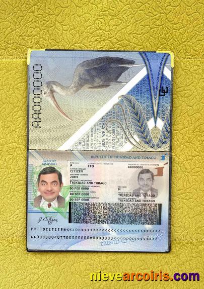 Trinidad and Tobago passport photolook